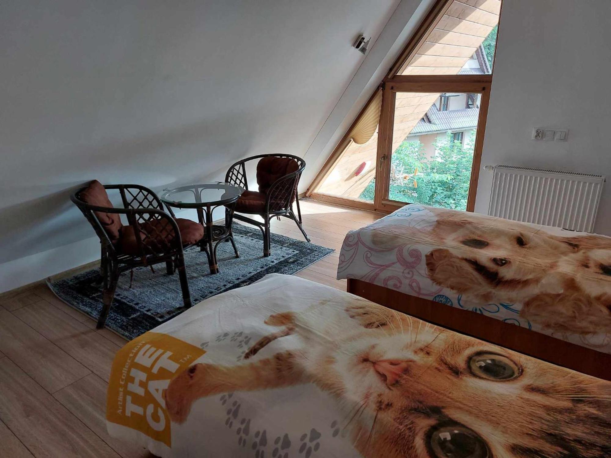 Apartamenty Cede Zakopane Luaran gambar